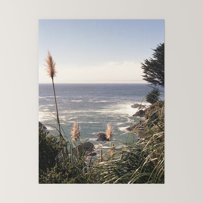 California Coast | 35mm Film Photography Mini Art Print Gallery Image 6
