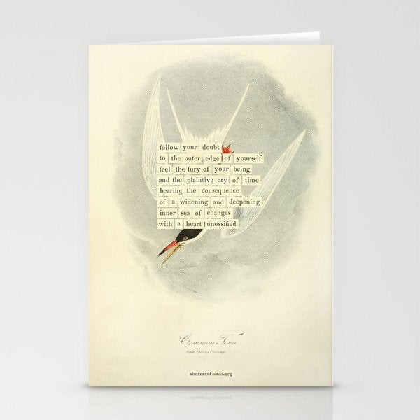 Bird Divinations: Common Tern (about: almanacofbirds.org) Stationery Card Gallery Image 1