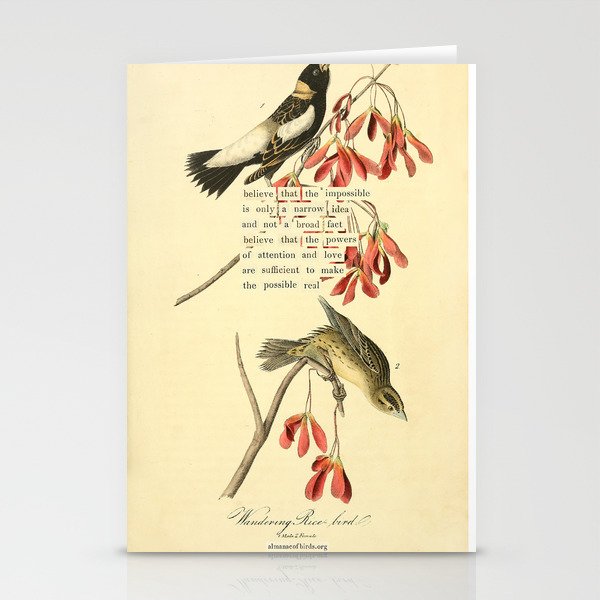 Bird Divinations: Wandering Rice Bird (about: almanacofbirds.org) Stationery Card Gallery Image 1