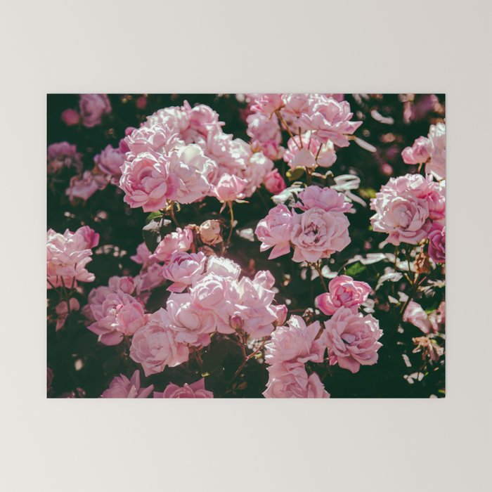 Light Pink Roses Mini Art Print Gallery Image 6