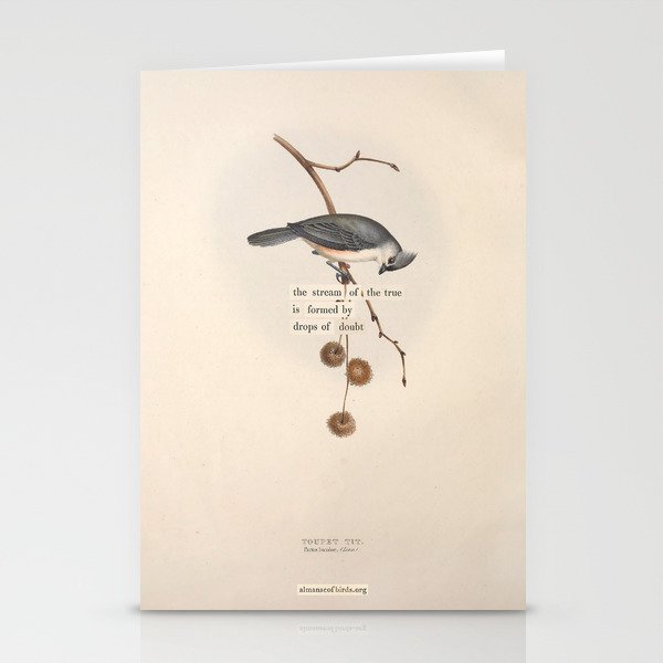 Bird Divinations: Toupet Tit (about: almanacofbirds.org) Stationery Card Gallery Image 1
