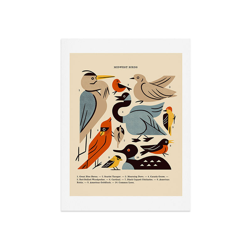 Midwest Birds Guide Art Print Gallery Image 9