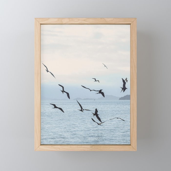 Flock of Birds at Sunset Mini Art Print Gallery Image 1