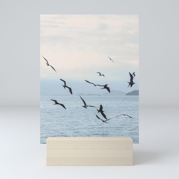 Flock of Birds at Sunset Mini Art Print Gallery Image 5