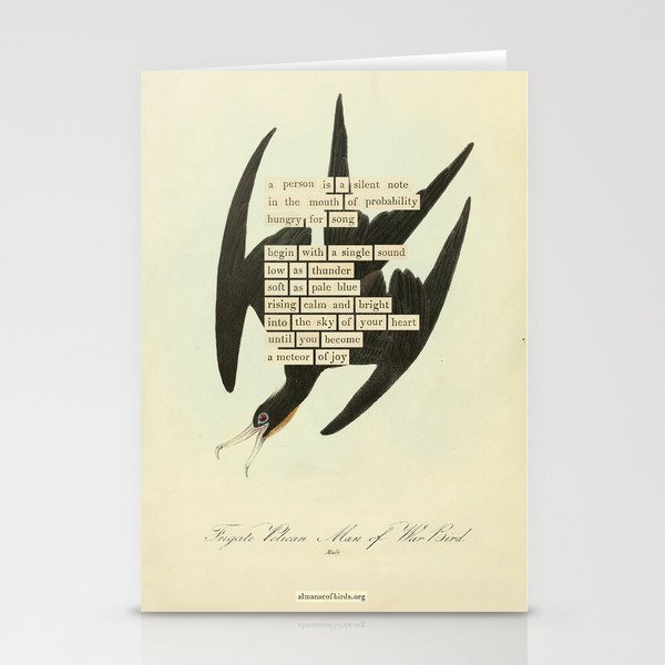 Bird Divinations: Frigate Pelican (about: almanacofbirds.org) Stationery Card Gallery Image 2