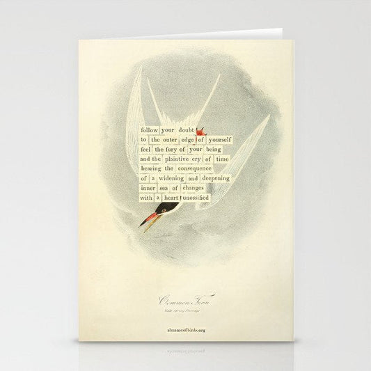 Bird Divinations: Common Tern (about: almanacofbirds.org) Stationery Card Gallery Image 1
