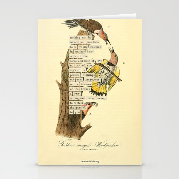 Bird Divinations: Golden-Winged Woodpecker (about: almanacofbirds.org) Stationery Card Gallery Image 2