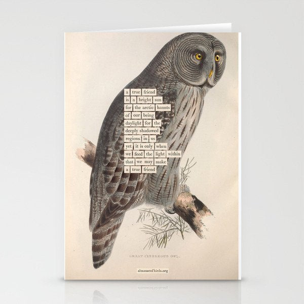 Bird Divinations: Great Cinereous Owl (about: almanacofbirds.org) Stationery Card Gallery Image 1