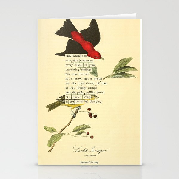 Bird Divinations: Scarlet Tanager (about: almanacofbirds.org) Stationery Card Gallery Image 2