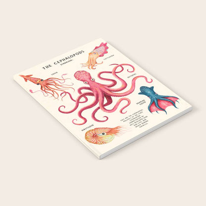 THE CEPHALOPODS Notebook Gallery Image 1