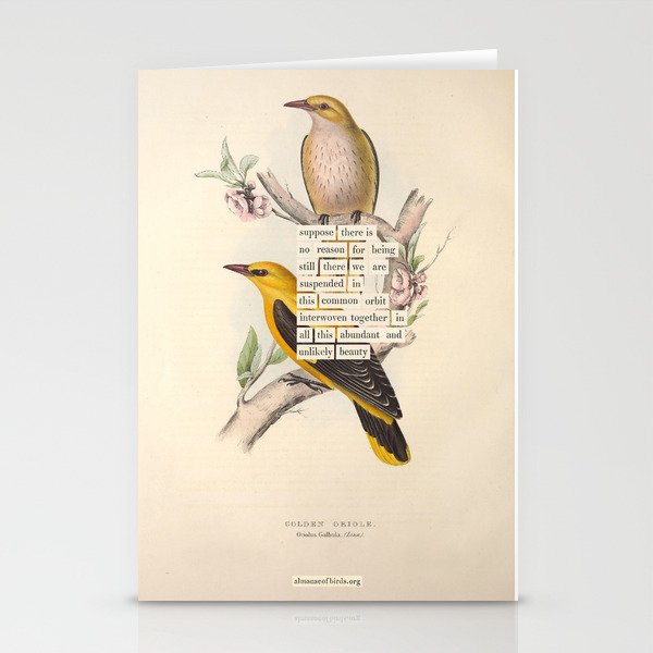 Bird Divinations: Golden Oriole (about: almanacofbirds.org) Stationery Card Gallery Image 2