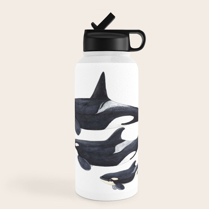 Orca (Orcinus orca) Water Bottle Gallery Image 4