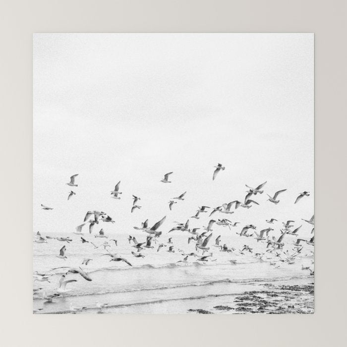 "Seagulls" | Coastal black and white photo | Film photography | Beach - square Mini Art Print Gallery Image 6