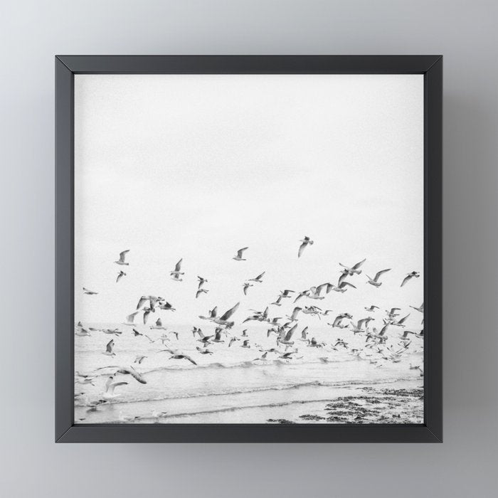 "Seagulls" | Coastal black and white photo | Film photography | Beach - square Mini Art Print Gallery Image 3