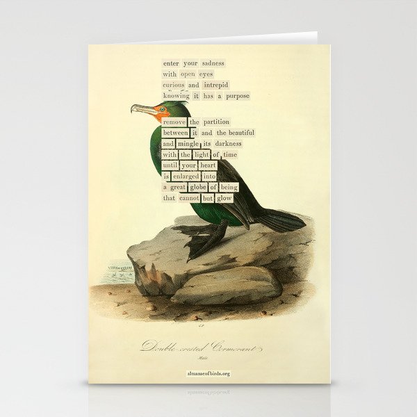 Bird Divinations: Double-Crested Cormorant (about: almanacofbirds.org) Stationery Card Gallery Image 2