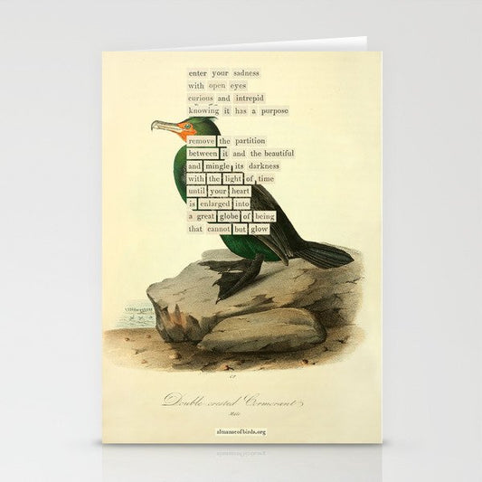 Bird Divinations: Double-Crested Cormorant (about: almanacofbirds.org) Stationery Card Gallery Image 2