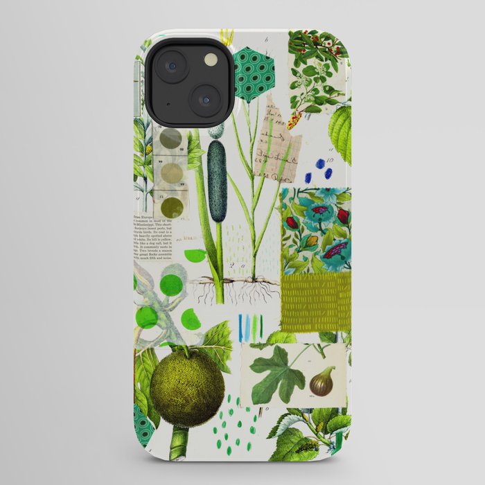 Green Botanical by Pam Smilow iPhone Case Gallery Image 22
