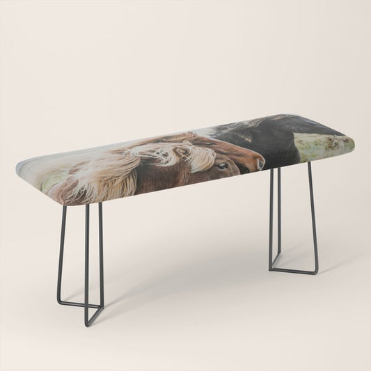 Thingeyrar, Iceland Bench Gallery Image 1