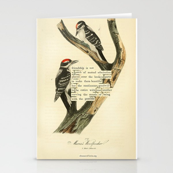Bird Divinations: Maria's Woodpecker (about: almanacofbirds.org) Stationery Card Gallery Image 2