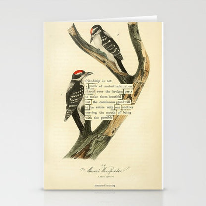Bird Divinations: Maria's Woodpecker (about: almanacofbirds.org) Stationery Card Gallery Image 2