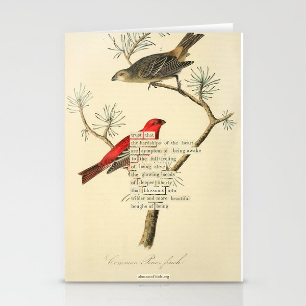Bird Divinations: Pine Finch (about: almanacofbirds.org) Stationery Card Gallery Image 2