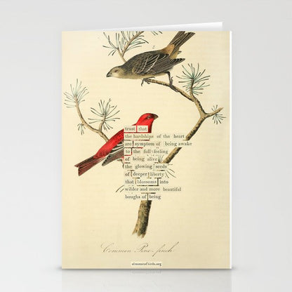 Bird Divinations: Pine Finch (about: almanacofbirds.org) Stationery Card Gallery Image 1
