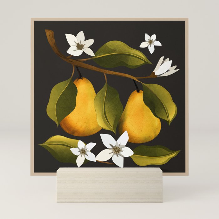 Pears Botanical Art 1 Mini Art Print Gallery Image 5