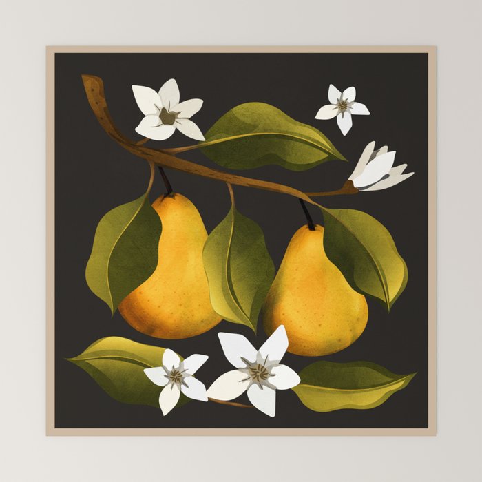 Pears Botanical Art 1 Mini Art Print Gallery Image 6