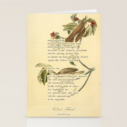 Wood Thrush Divination from # An Almanac of Birds # Divinations for Uncertain Days Art Print Stationery Card Gallery Image 1