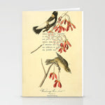 Bird Divinations: Wandering Rice Bird (about: almanacofbirds.org) Stationery Card Gallery Image 1