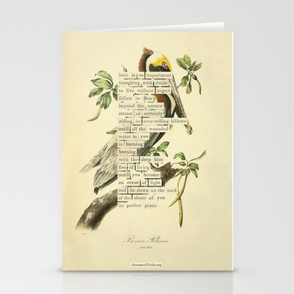 Bird Divinations: Brown Pelican (about: almanacofbirds.org) Stationery Card Gallery Image 1