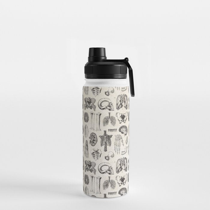 Human Anatomy Water Bottle Gallery Image 2