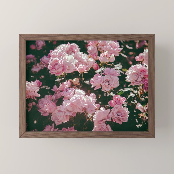 Light Pink Roses Mini Art Print Gallery Image 2