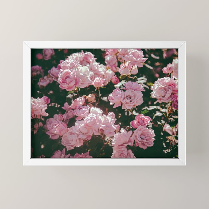 Light Pink Roses Mini Art Print Gallery Image 4