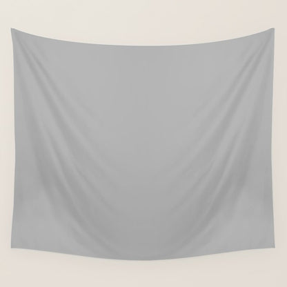 Light Gray Solid. Silver Minimalism Wall Tapestry Gallery Image 1