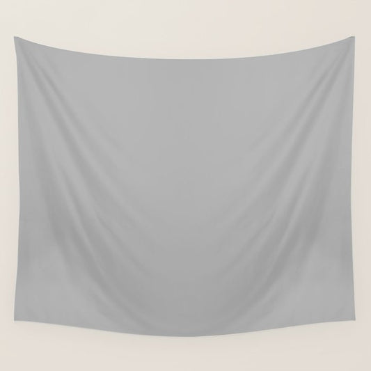 Light Gray Solid. Silver Minimalism Wall Tapestry Gallery Image 1