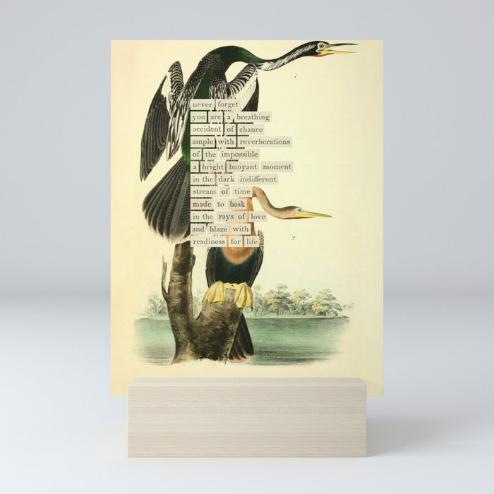 Bird Divinations: Snake Bird (about: almanacofbirds.org) Mini Art Print Gallery Image 5
