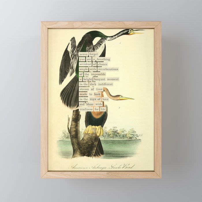 Bird Divinations: Snake Bird (about: almanacofbirds.org) Mini Art Print Gallery Image 1