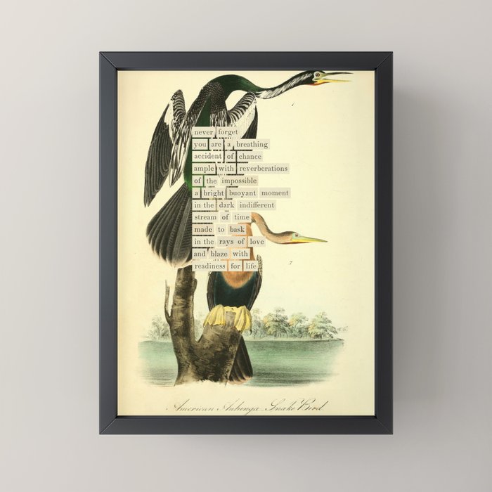 Bird Divinations: Snake Bird (about: almanacofbirds.org) Mini Art Print Gallery Image 3