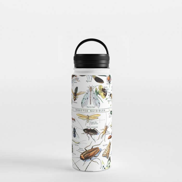 Insects Illustrations by Millot and Larousse Water Bottle Gallery Image 3
