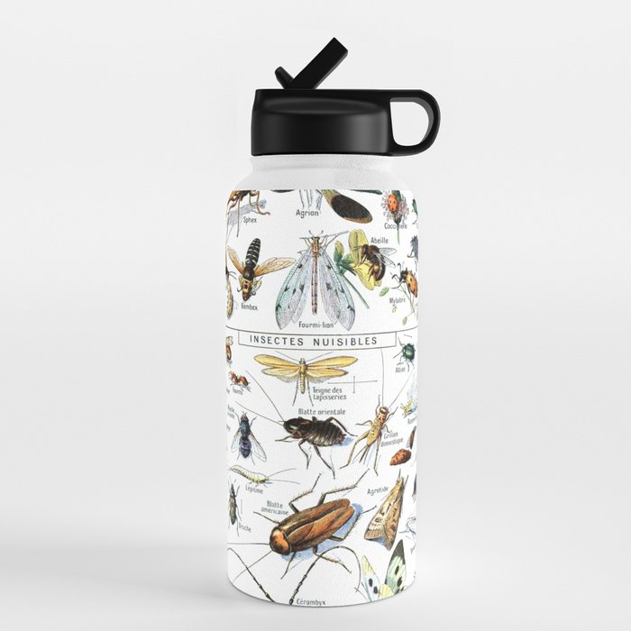 Insects Illustrations by Millot and Larousse Water Bottle Gallery Image 4