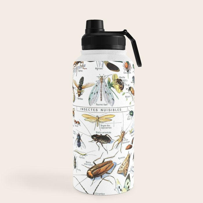Insects Illustrations by Millot and Larousse Water Bottle Gallery Image 5