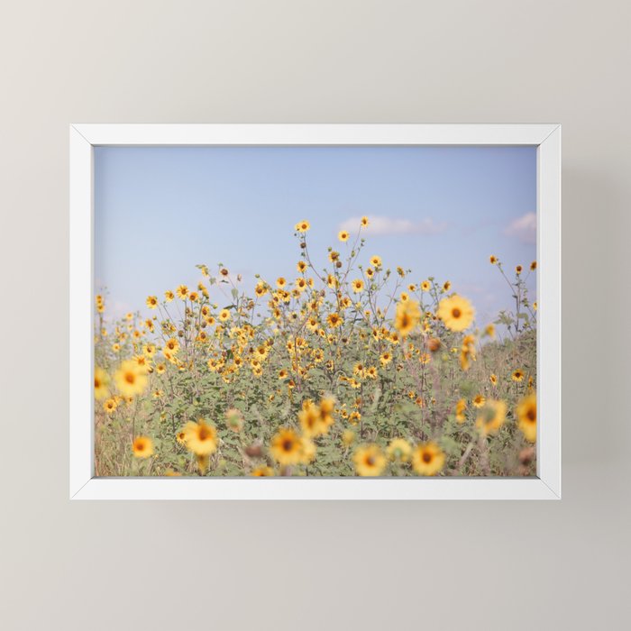 Texas Sunflower Field Mini Art Print Gallery Image 4