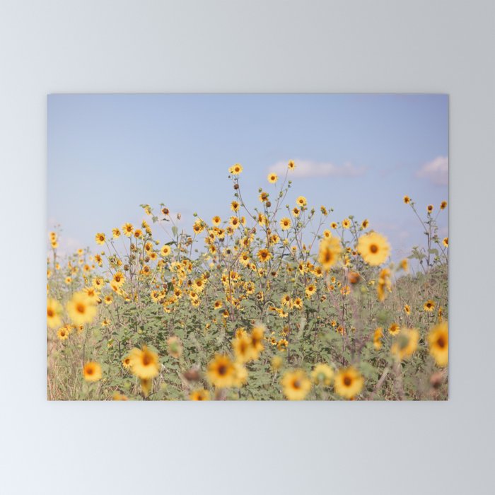 Texas Sunflower Field Mini Art Print Gallery Image 6
