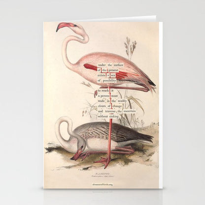 Bird Divinations: Flamingo (about: almanacofbirds.org) Stationery Card Gallery Image 2
