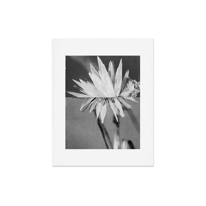 Paired Frames - Flower Art Print Gallery Image 4