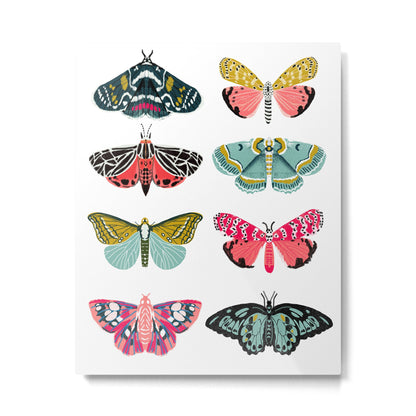 Moths - white background, moth print, moth art, moth sticker, moths, moth art Metal Print Gallery Image 4