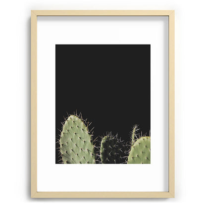 Cactus Framed Art Print Gallery Image 72