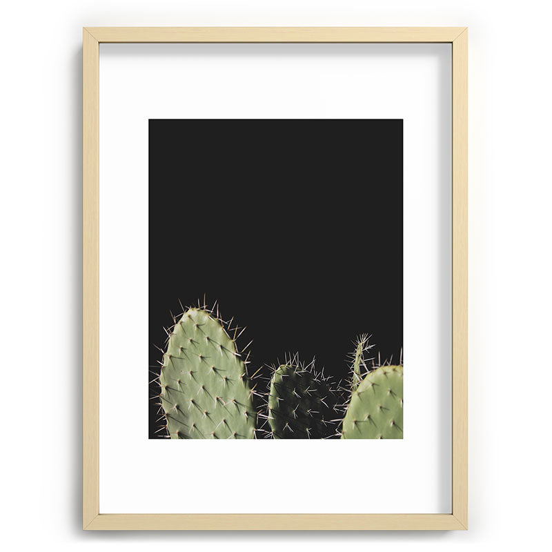 Cactus Framed Art Print Gallery Image 73