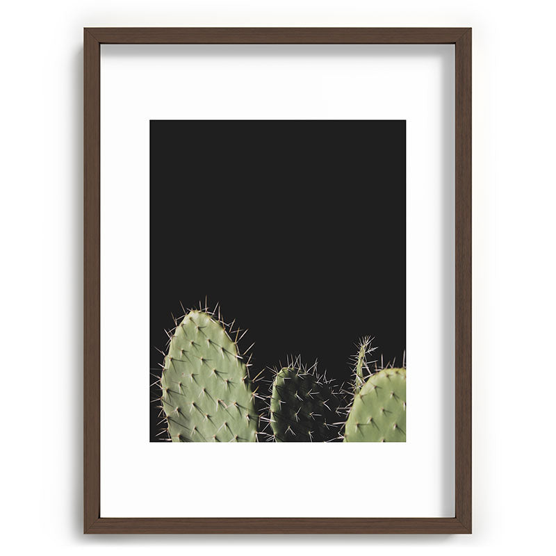 Cactus Framed Art Print Gallery Image 66